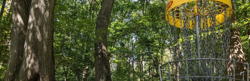 Iron Hill Disc Golf Course Hole #6 Basket