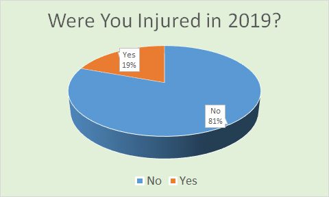 Disc Golf Injuries in 2019 Yes - 19%, No - 81%