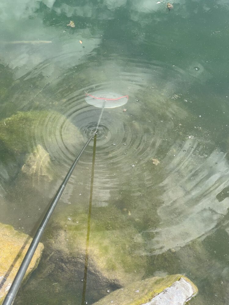 Pole retriever dragging a disc golf disc out of the water.