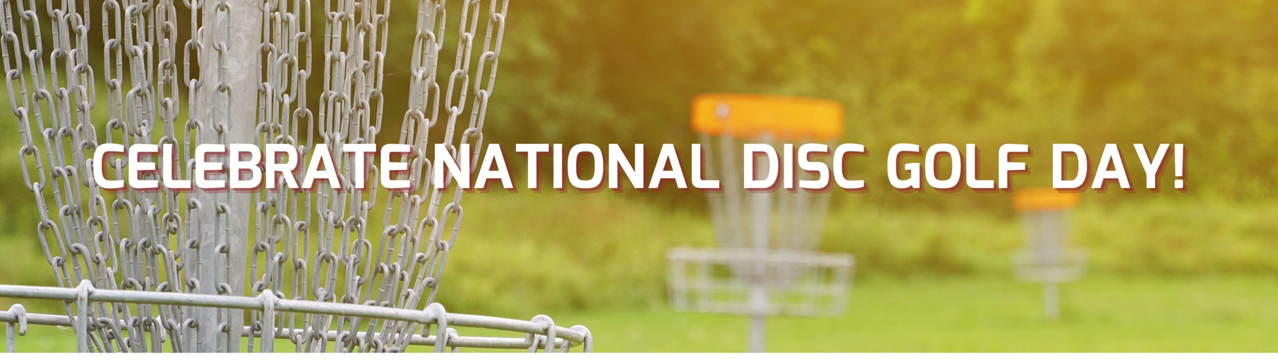 National Disc Golf Day! » Infinite Discs Blog