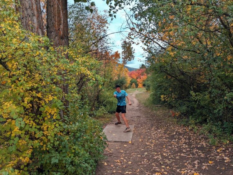 New disc golfer throwing in autumn down a tight fairway