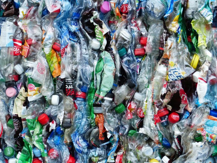 Plastic Waste needing to be recycled