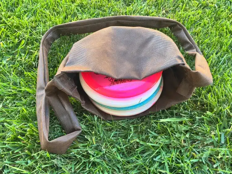 disc golf bag with discs