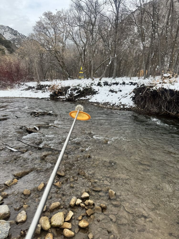 A retriever getting a disc out of a river