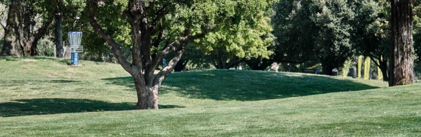 a disc golf basket behind a tree