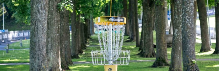 A disc golf tunnel shot lined with trees